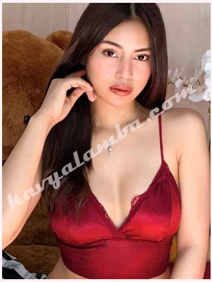 Call Girls in Noida